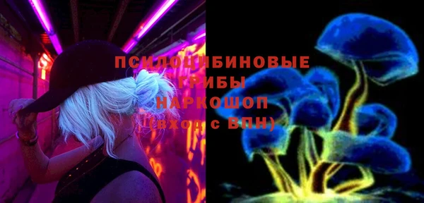трава Сясьстрой