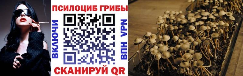 Галлюциногенные грибы GOLDEN TEACHER  Гулькевичи 